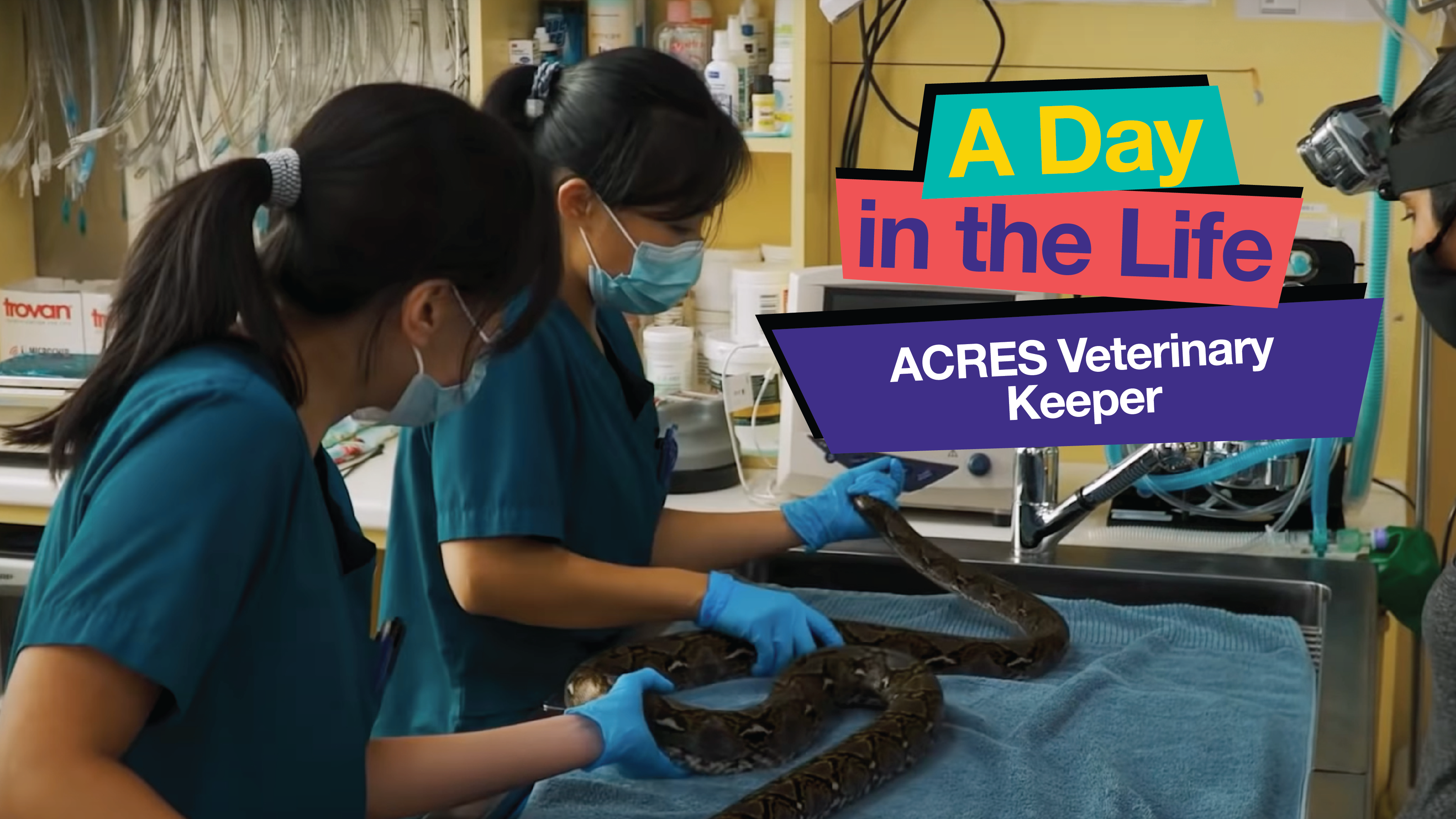 ACRES VeterinaryKeeper2x