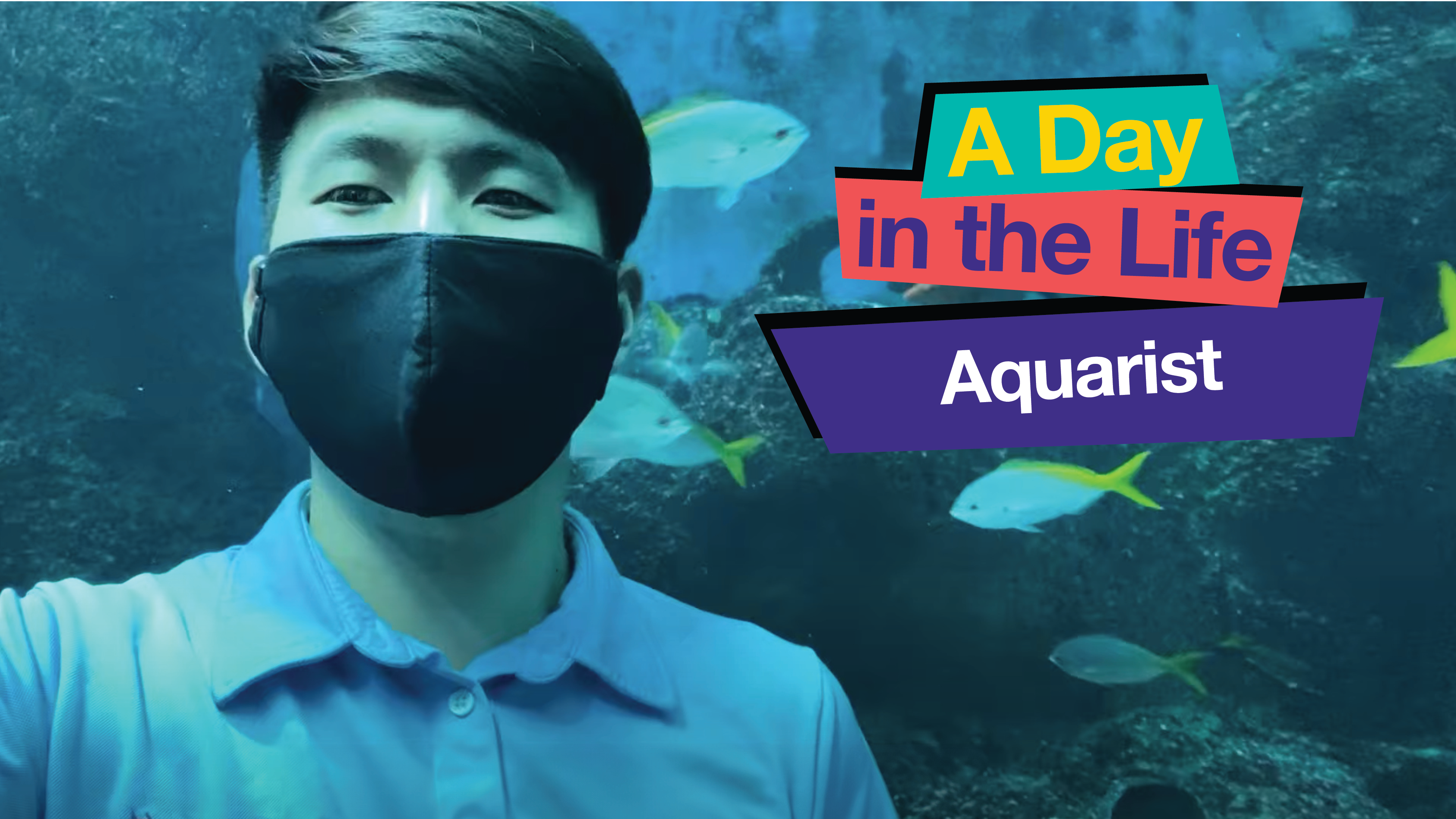 Aquarist2x