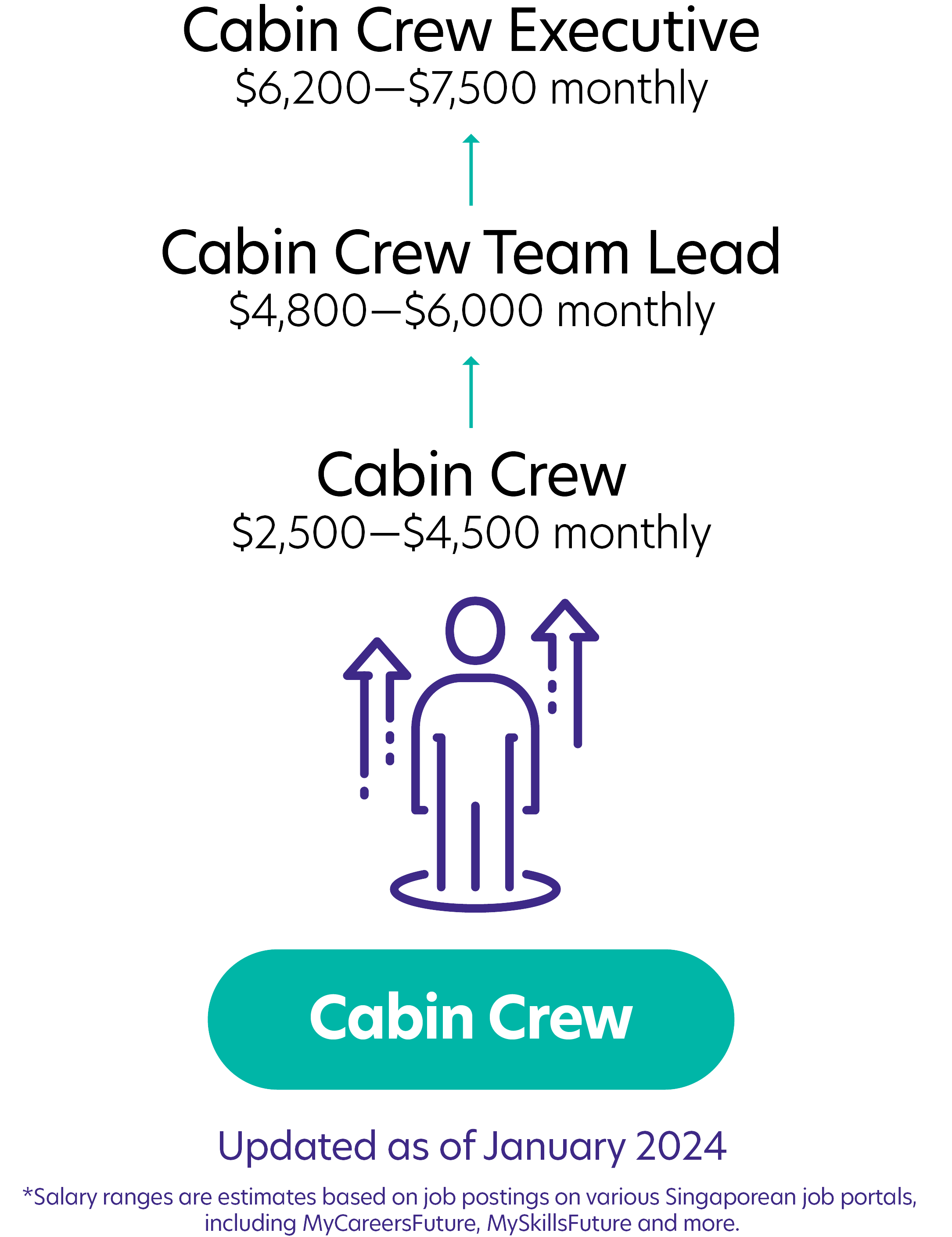 245Cabin Crew