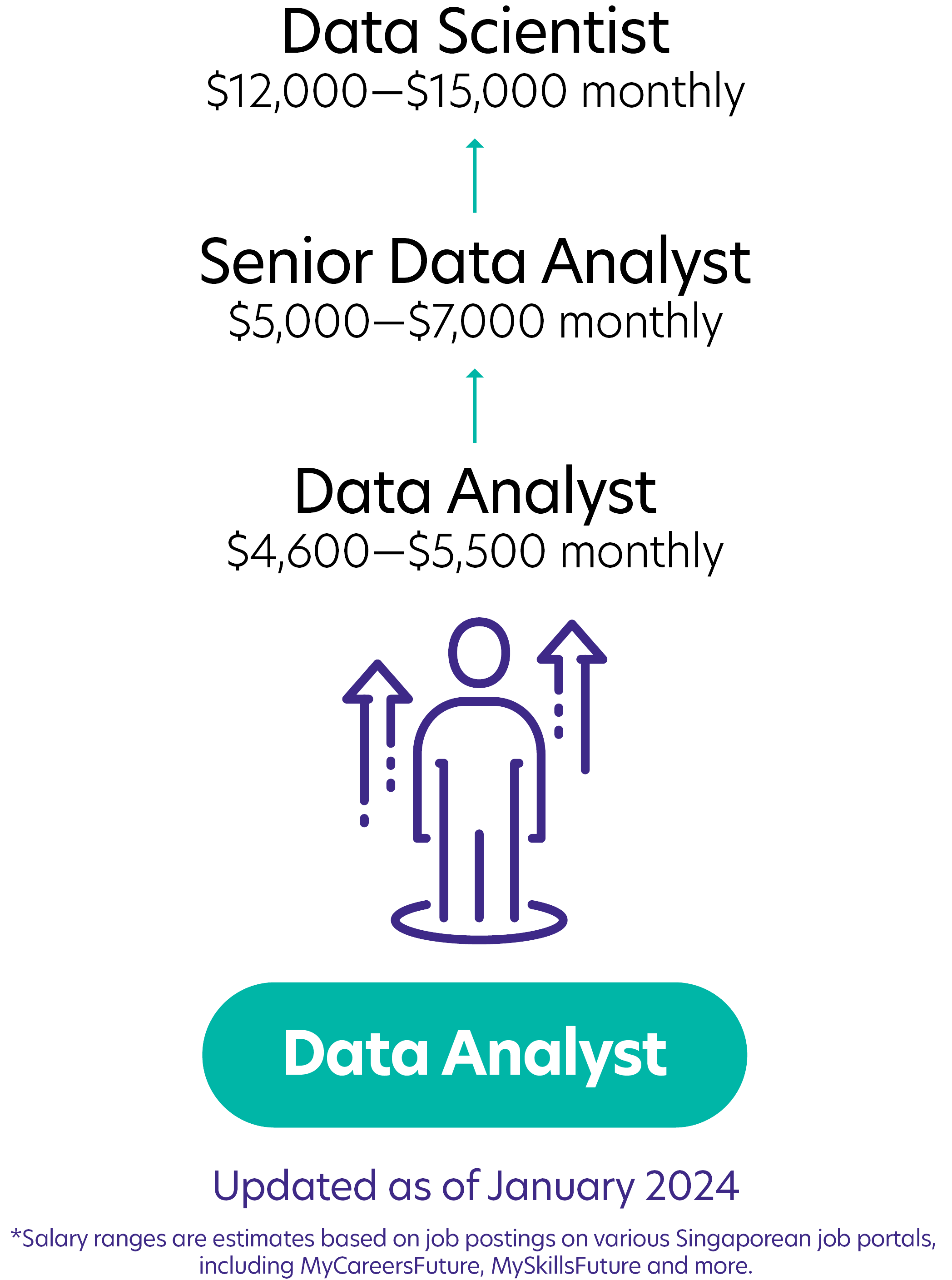 7Data Analyst