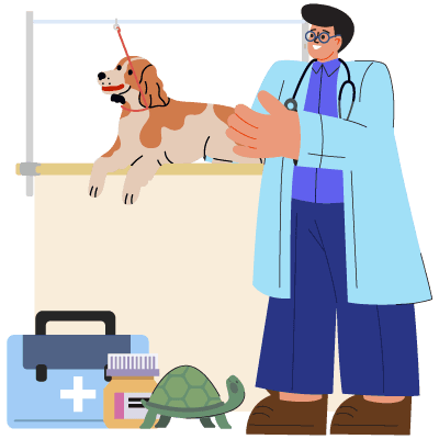 Image of career: Veterinarian