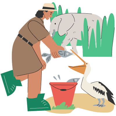 Image of career: Animal Care Officer