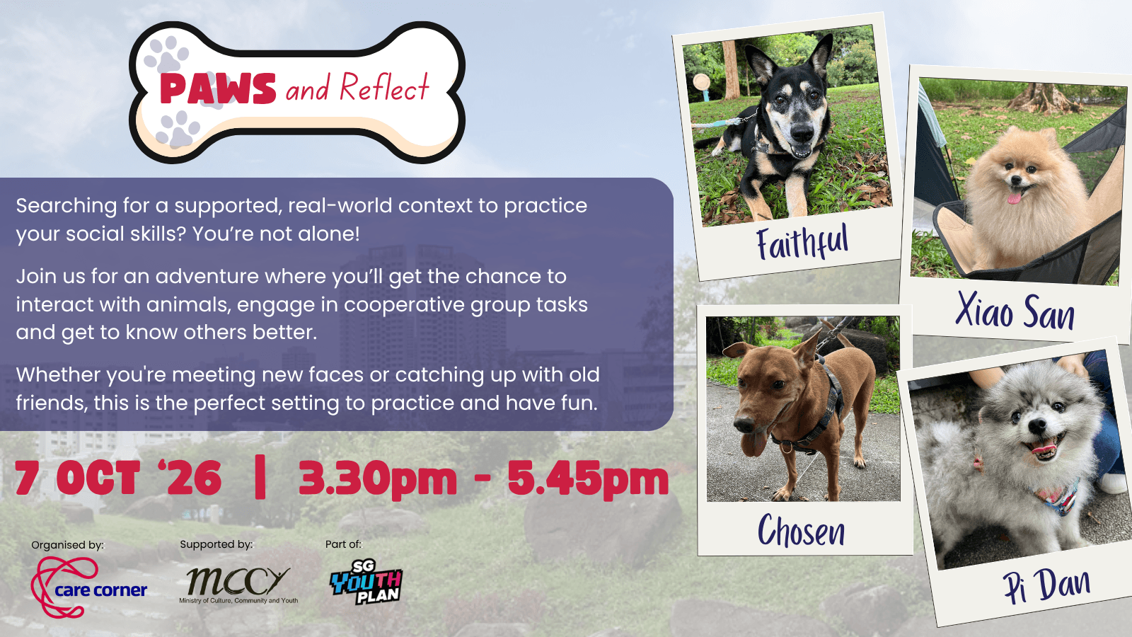 Image of event: Paws and Reflect