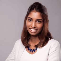 Profile image of Druga, Principal Consultant and Partner, Sequoia Group
