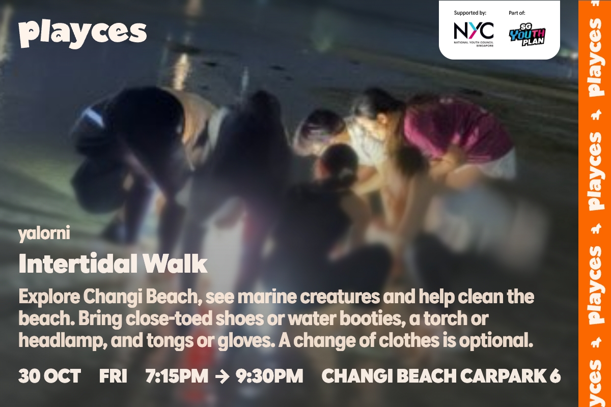 Image of event: Intertidal Walk