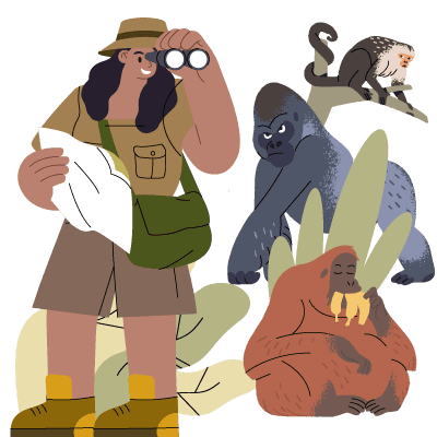 Image of career: Primatologist