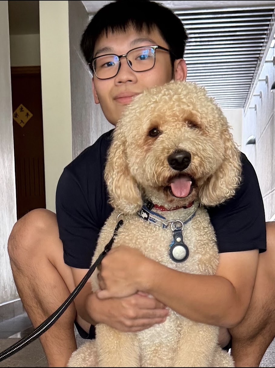 Profile image of Javen, Diploma Student, PSB Academy