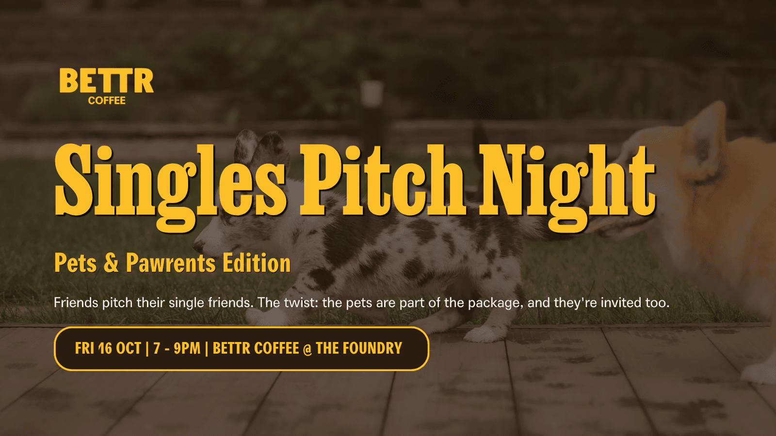 Image of event: How to Human: Singles Pitch Night (Pets and Pawrents Edition)