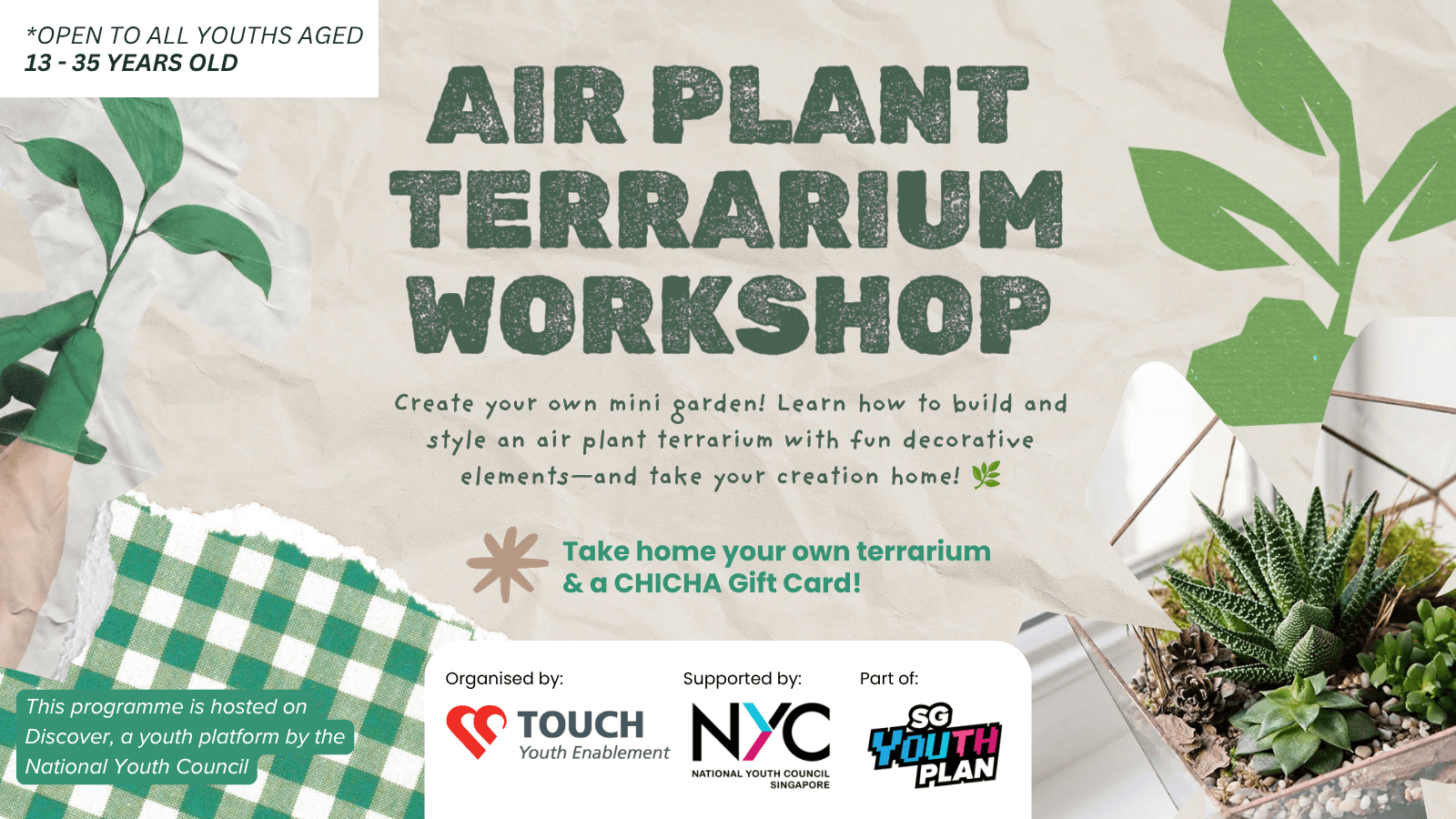 Image of event: Air Plant Terrarium Workshop
