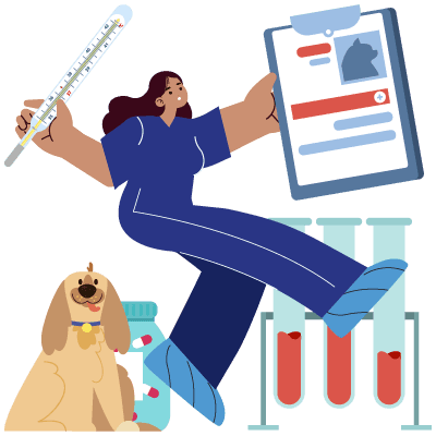 Image of career: Veterinary Technician