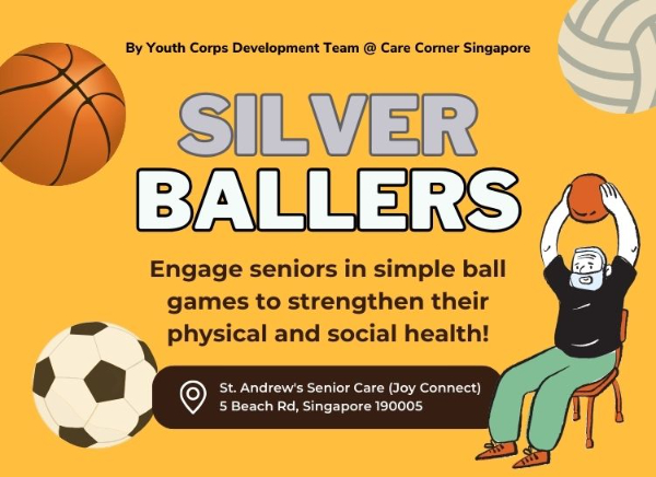 Silver Ballers VSG Profile