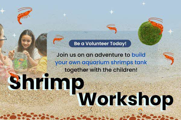 Shrimp Workshop thumbnail