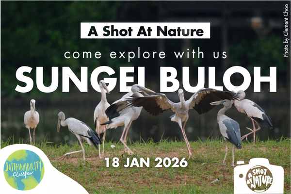 18 Jan_SBWR_Thumbnail