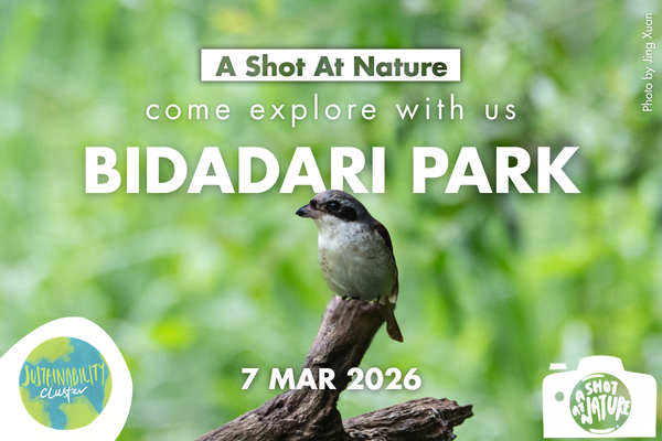 ASAN YCS EmailTelegram Blast-2