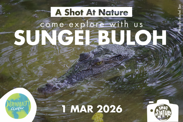 ASAN YCS EmailTelegram Blast-3