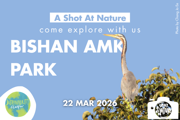 ASAN YCS EmailTelegram Blast-5