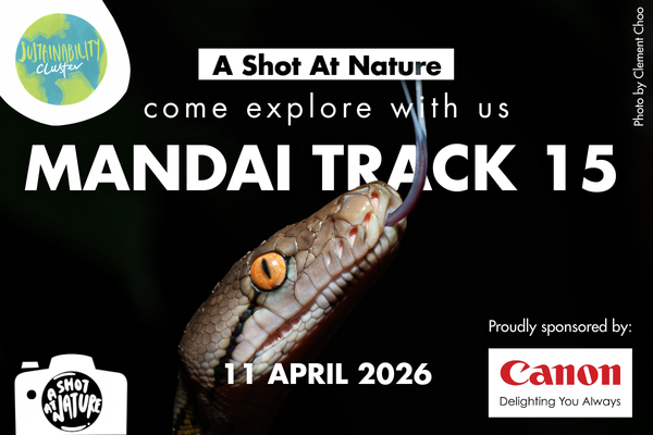 ASAN YCS EmailTelegram Blast - 23