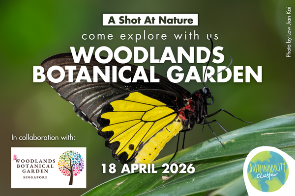 ASAN YCS EmailTelegram Blast - 25