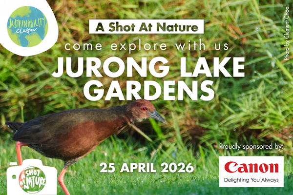 ASAN YCS EmailTelegram Blast - 26