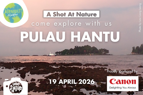 ASAN_Hantu