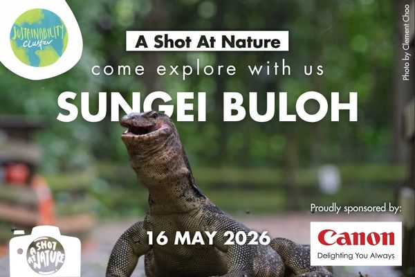 ASAN YCS EmailTelegram Blast