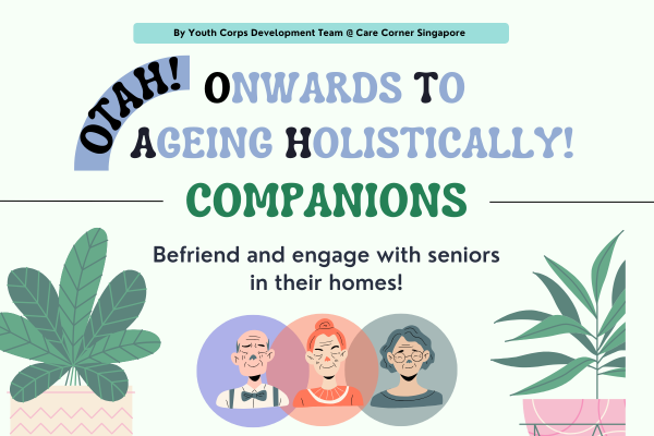 OTAH Companion for VSG