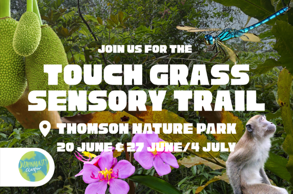 Touch Grass Sensory Trail EDM - Volunteer Facilitators