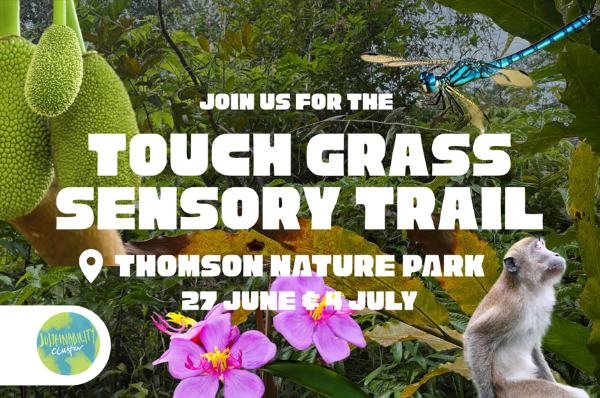 Touch Grass Sensory Trail EDM - Participants