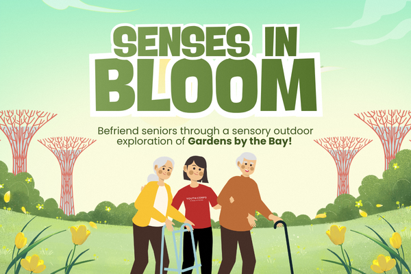Senses in Bloom Thumbnail
