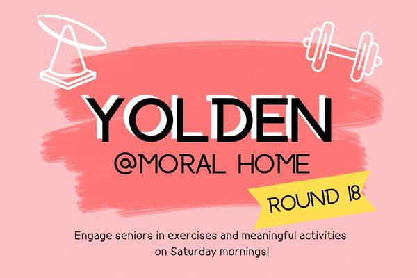 YOLDEN R17