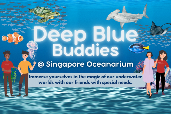 Deep Blue Buddies  Singapore Oceanarium EDM