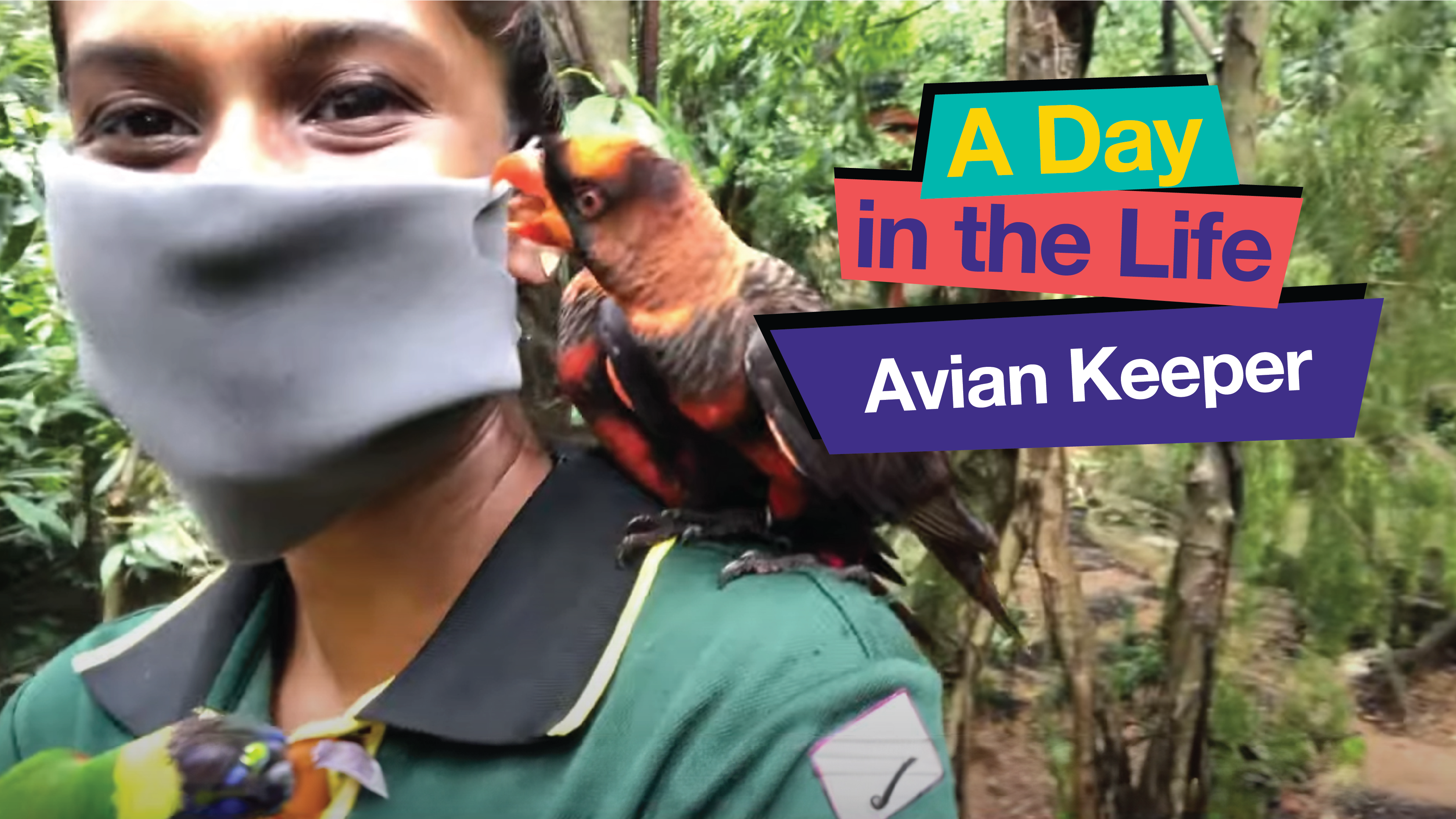 Avian Keeper