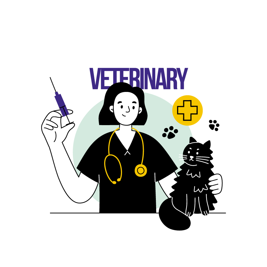 Phase 6_Veterinary_1