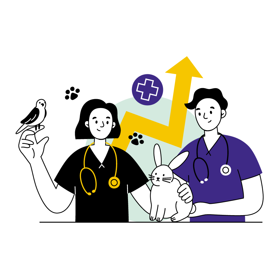 Phase 6_Veterinary_3