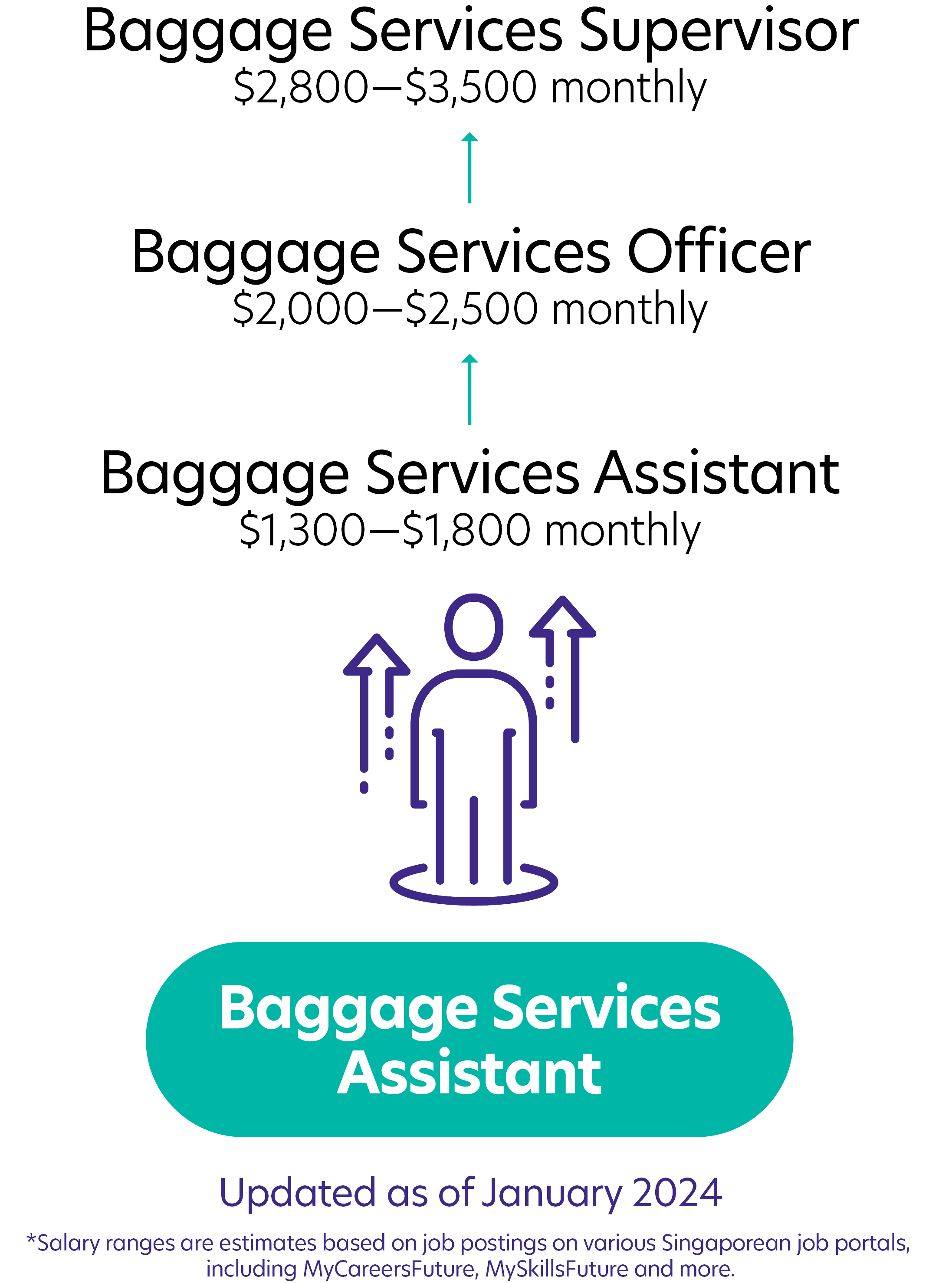 244Baggage Services Assistant